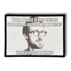 Printattu haalarimerkki Ryan Gosling -meemistä saumatulla reunalla, tekstillä: ''What muscle is responsible for lateral rotation of my neck? Your gluteus maximus''
