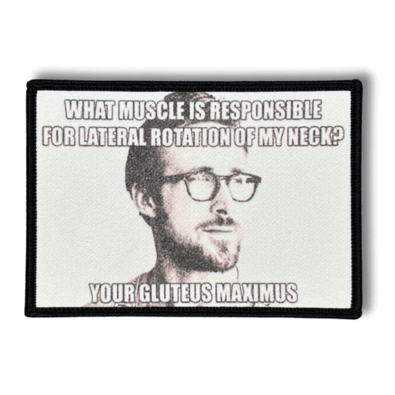 Printattu haalarimerkki Ryan Gosling -meemistä saumatulla reunalla, tekstillä: ''What muscle is responsible for lateral rotation of my neck? Your gluteus maximus''